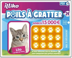 Poils à gratter (illiko de la FDJ) : règles, statistiques et probabilités.  - AideCasino